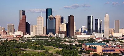Houston Thumbnail